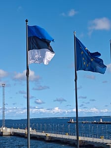 Estoninab ana EU flag